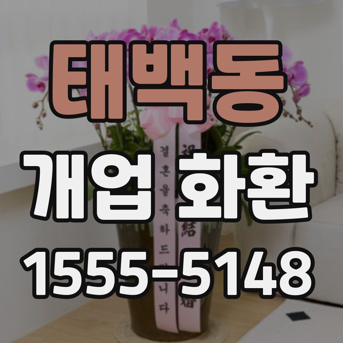 태백동 개업 화환