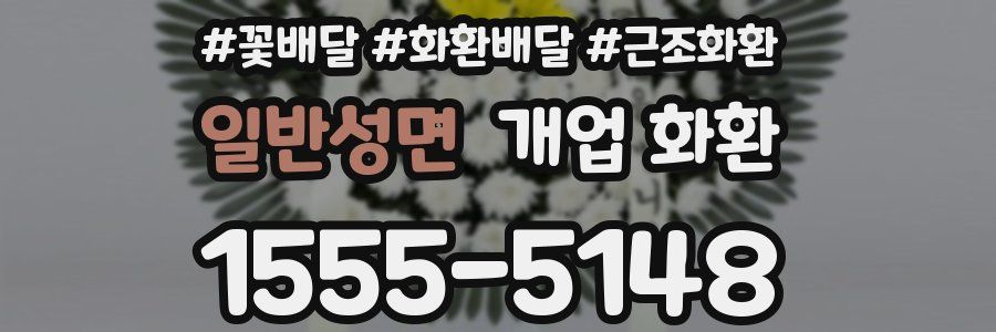 일반성면 개업 화환
