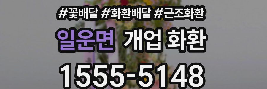 일운면 개업 화환