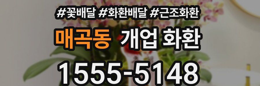 매곡동 개업 화환