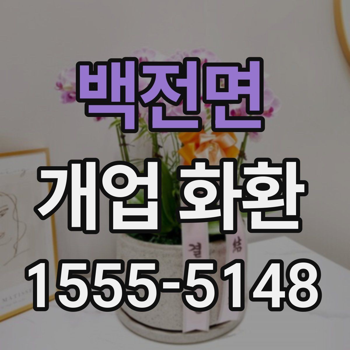 백전면 개업 화환 꽃 종류별 느낌과 활용