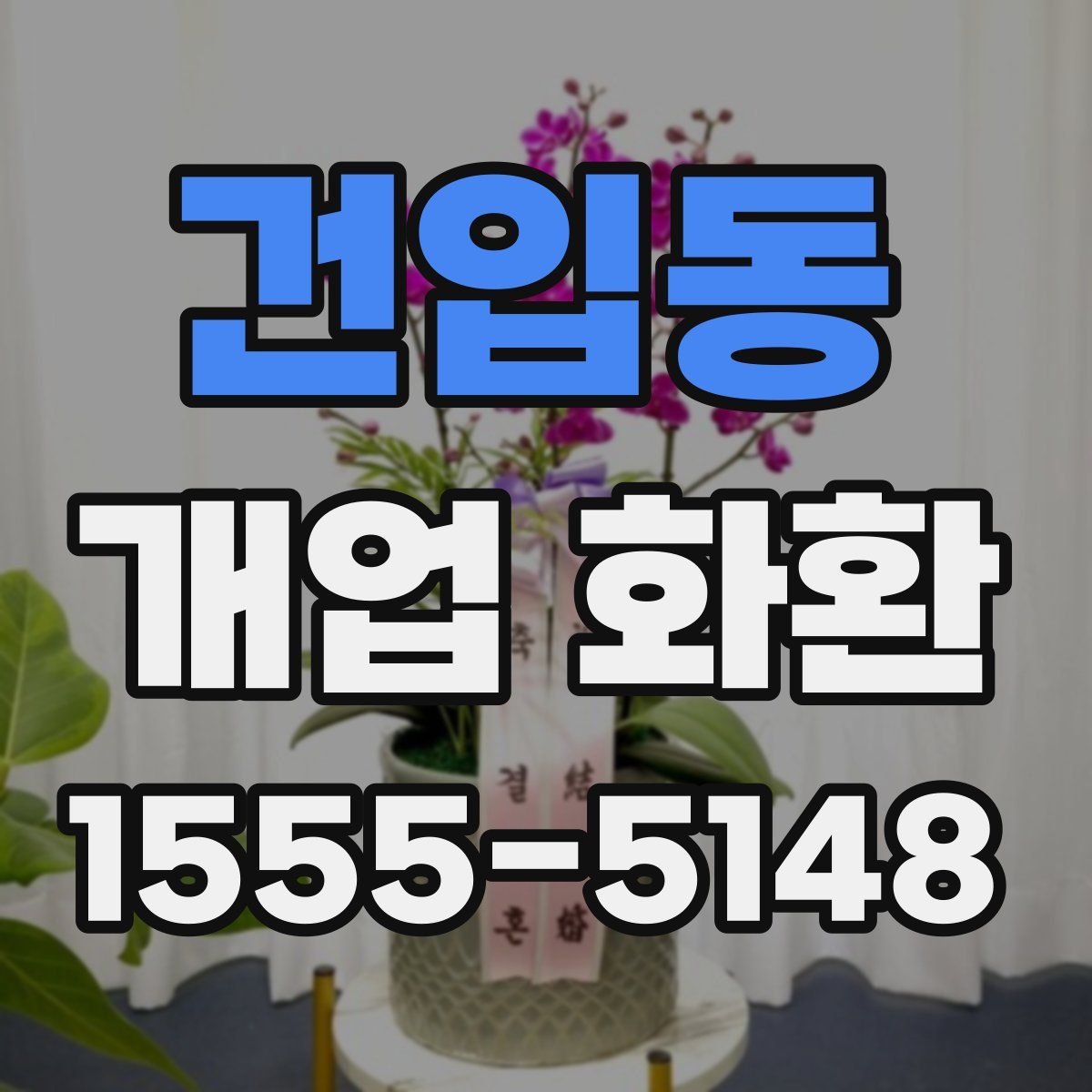 건입동 개업 화환