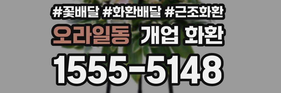 오라일동 개업 화환