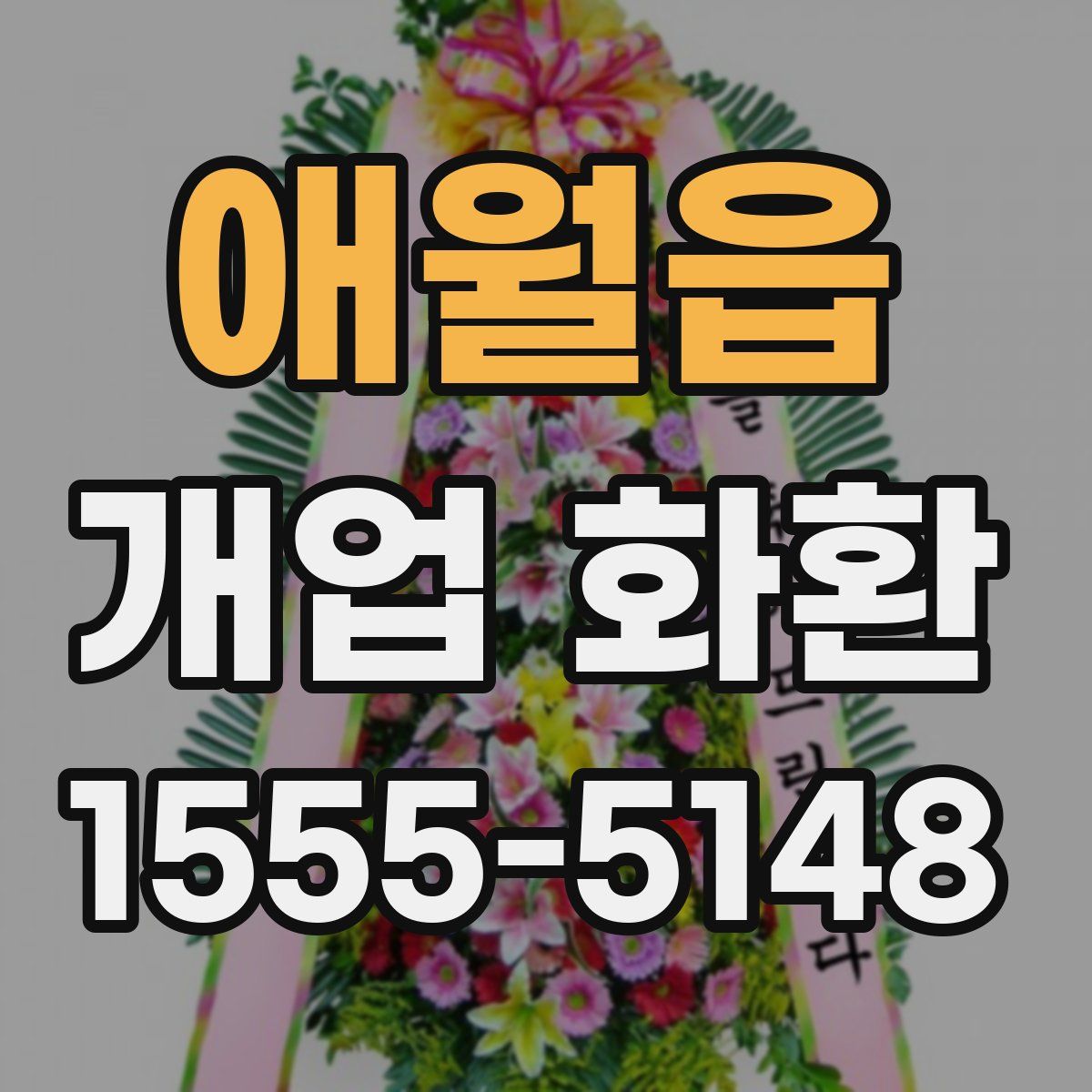 애월읍 개업 화환