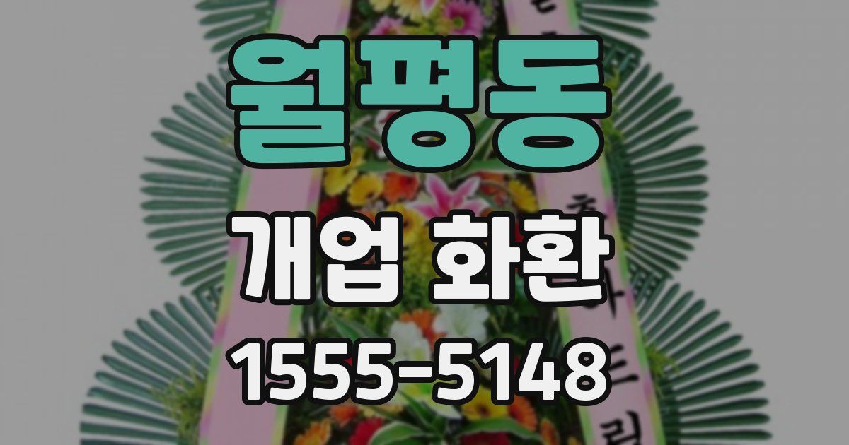월평동 개업 화환
