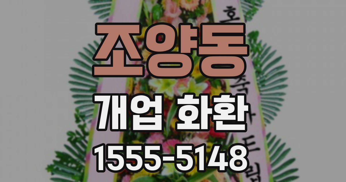 조양동 개업 화환