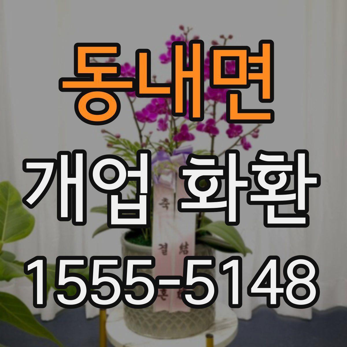 동내면 개업 화환