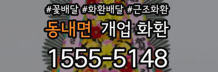 동내면 개업 화환