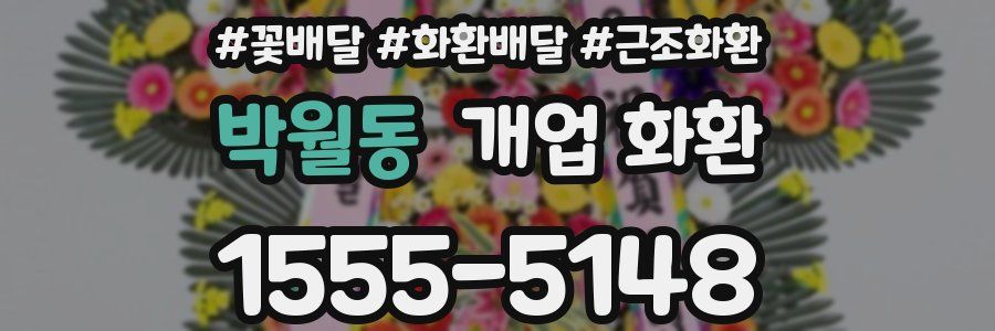 박월동 개업 화환