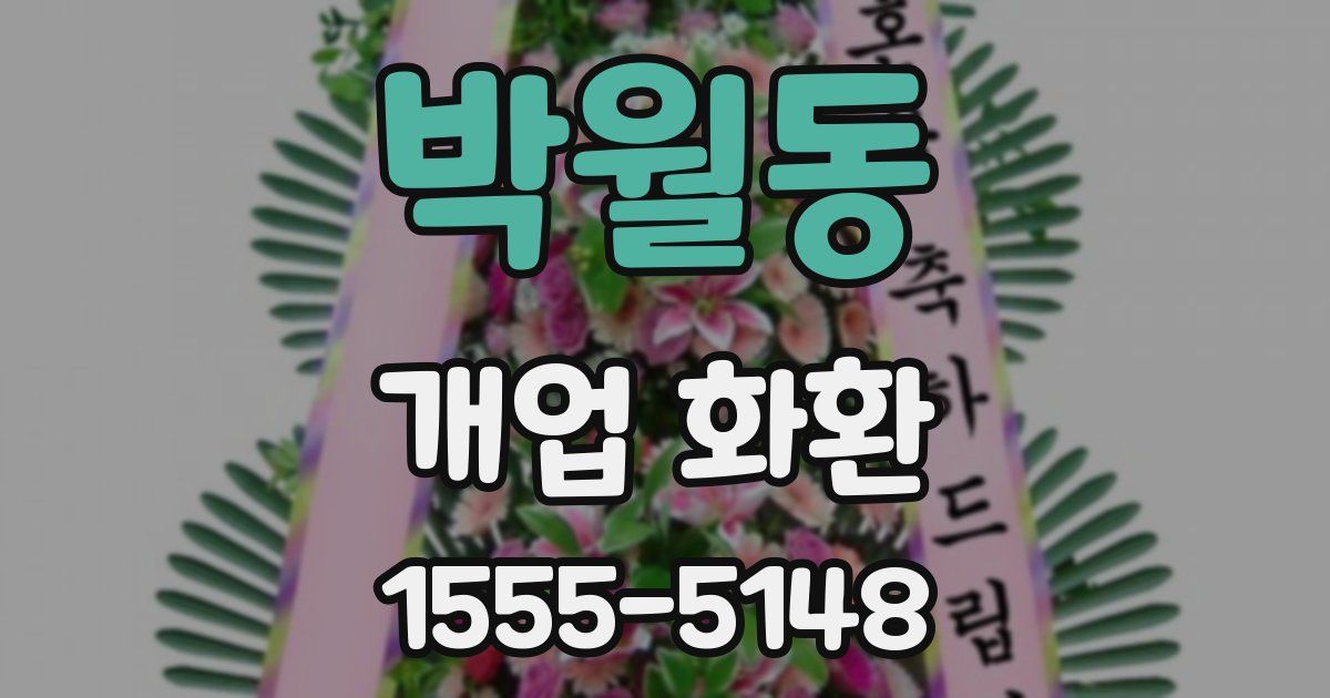 박월동 개업 화환