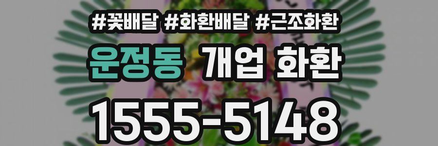 운정동 개업 화환
