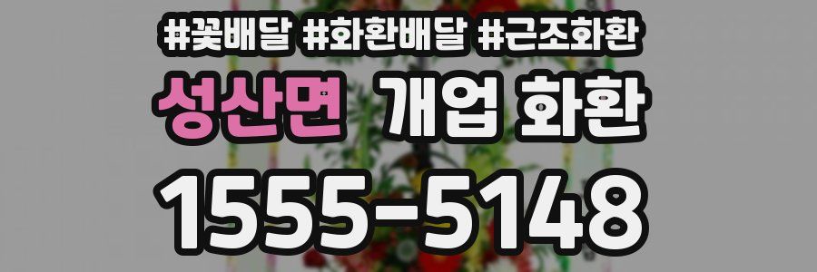 성산면 개업 화환