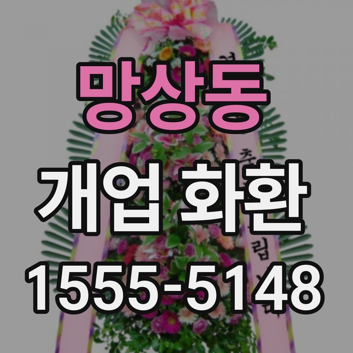 망상동 개업 화환