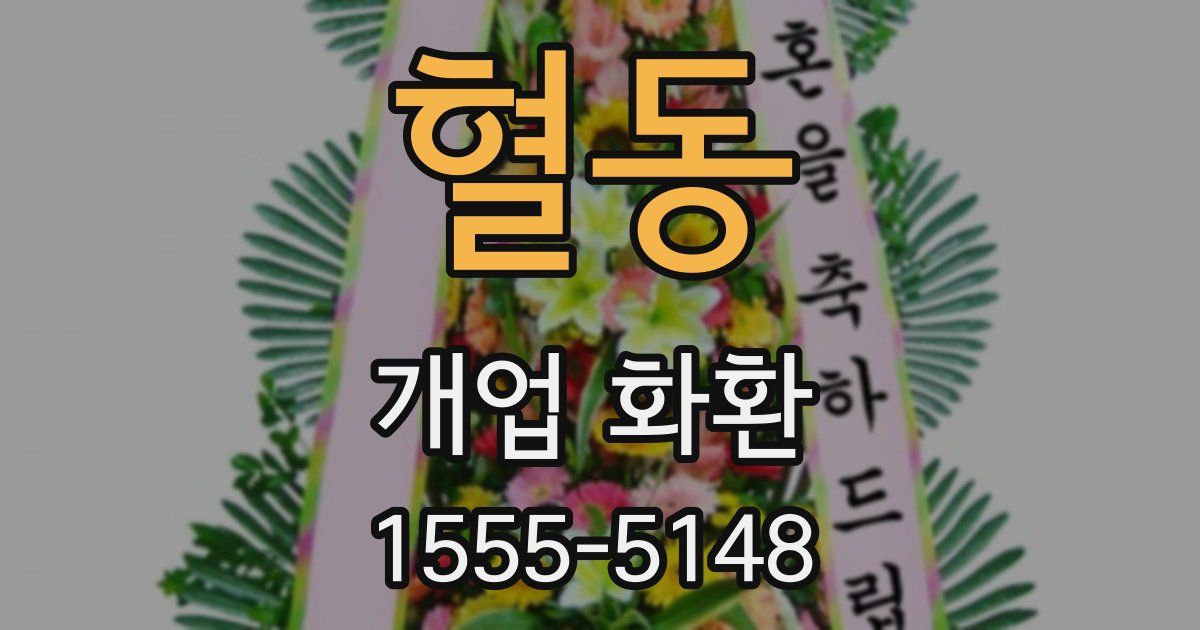 혈동 개업 화환