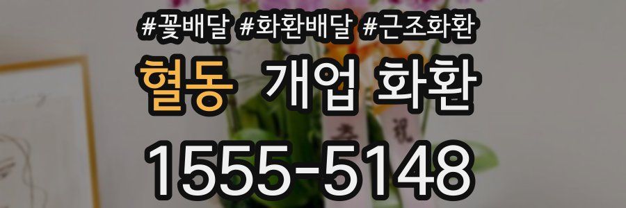 혈동 개업 화환