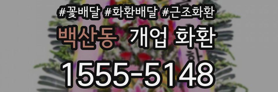 백산동 개업 화환