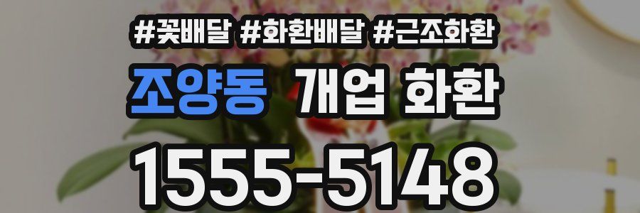 조양동 개업 화환
