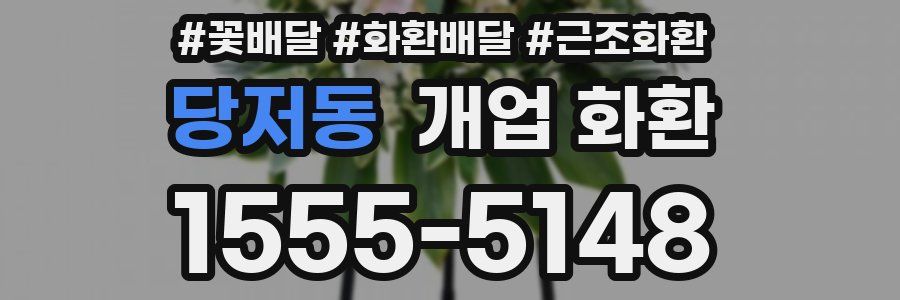 당저동 개업 화환