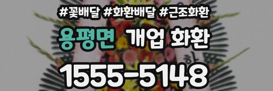용평면 개업 화환
