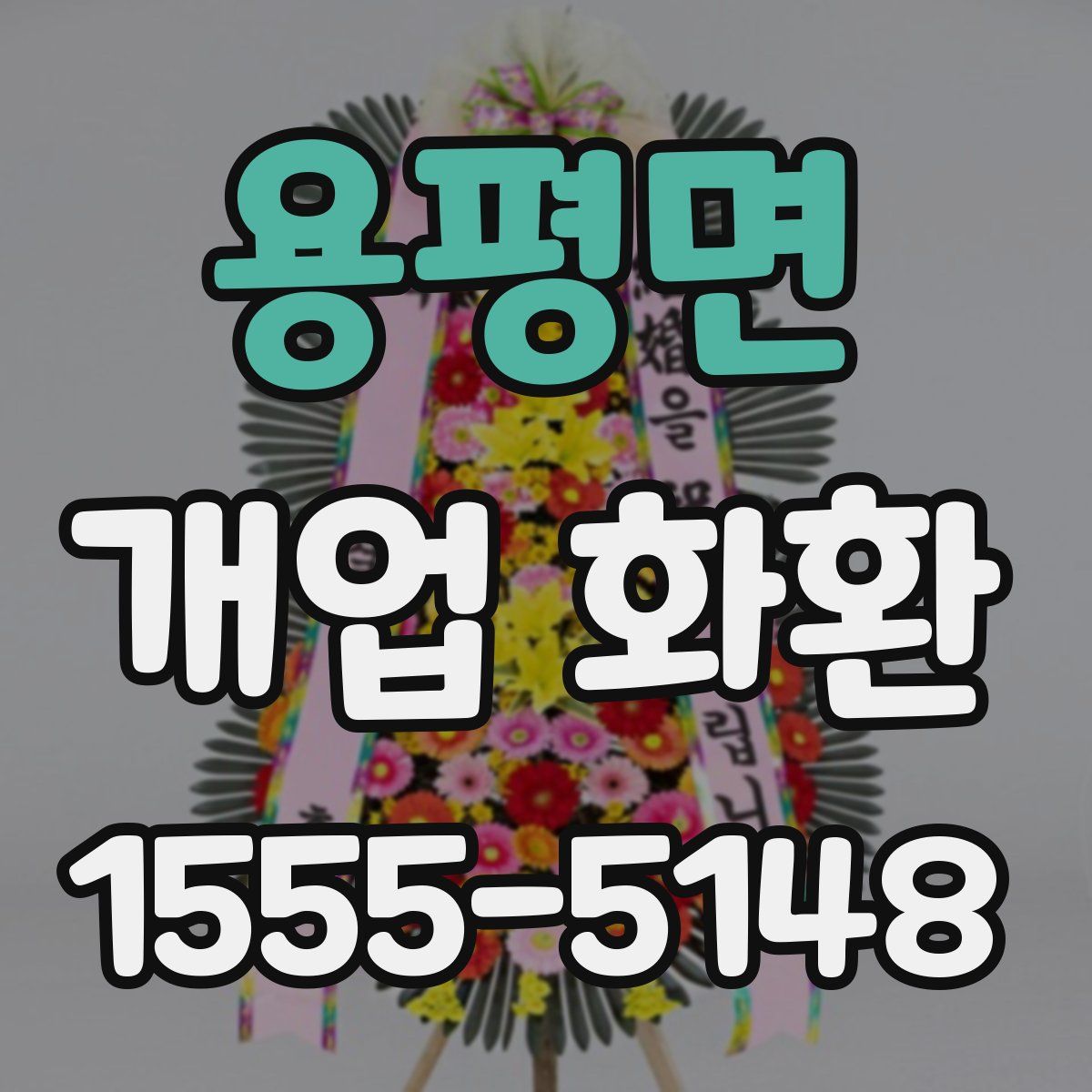 용평면 개업 화환