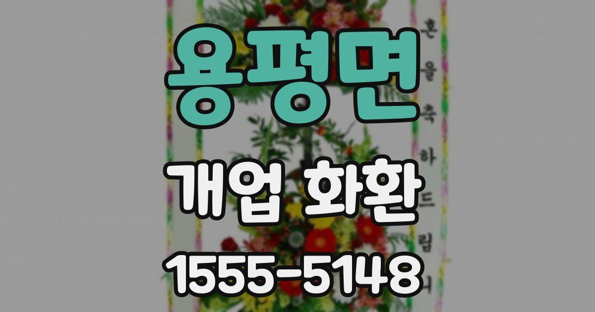 용평면 개업 화환