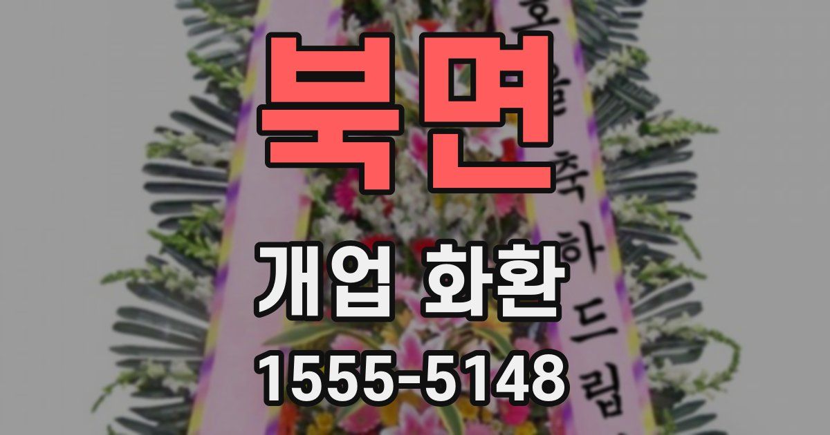 북면 개업 화환