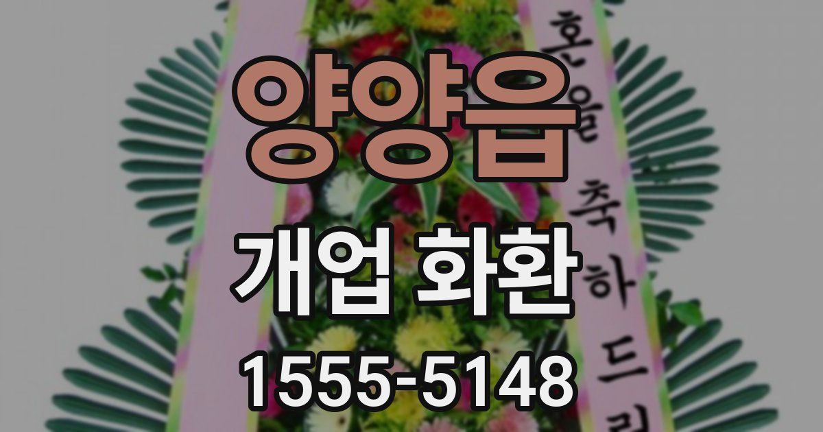 양양읍 개업 화환