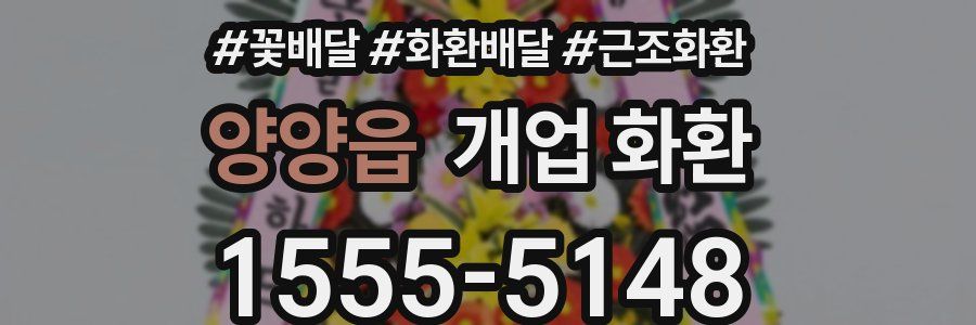 양양읍 개업 화환
