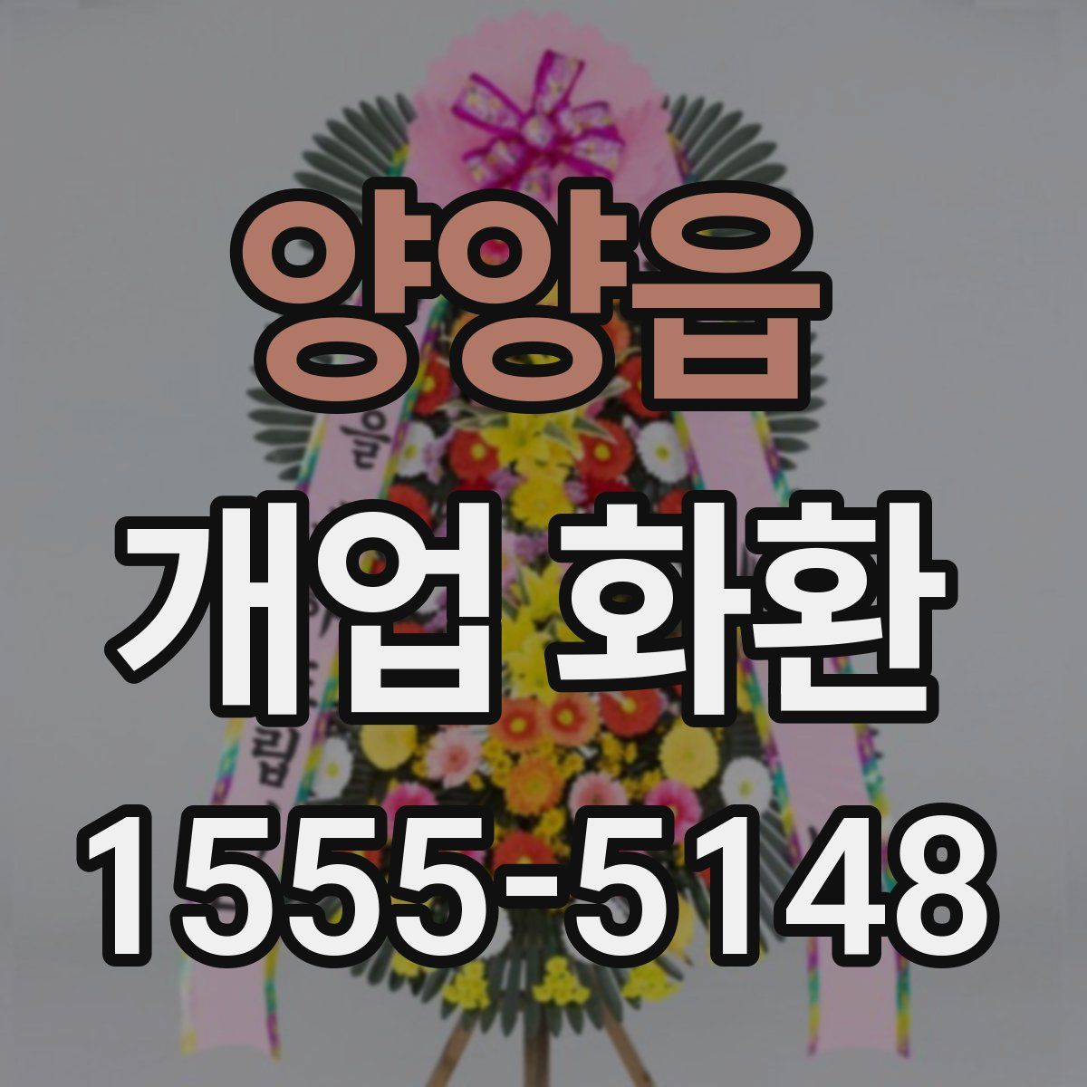 양양읍 개업 화환