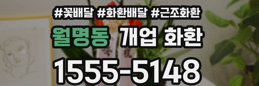 월명동 개업 화환