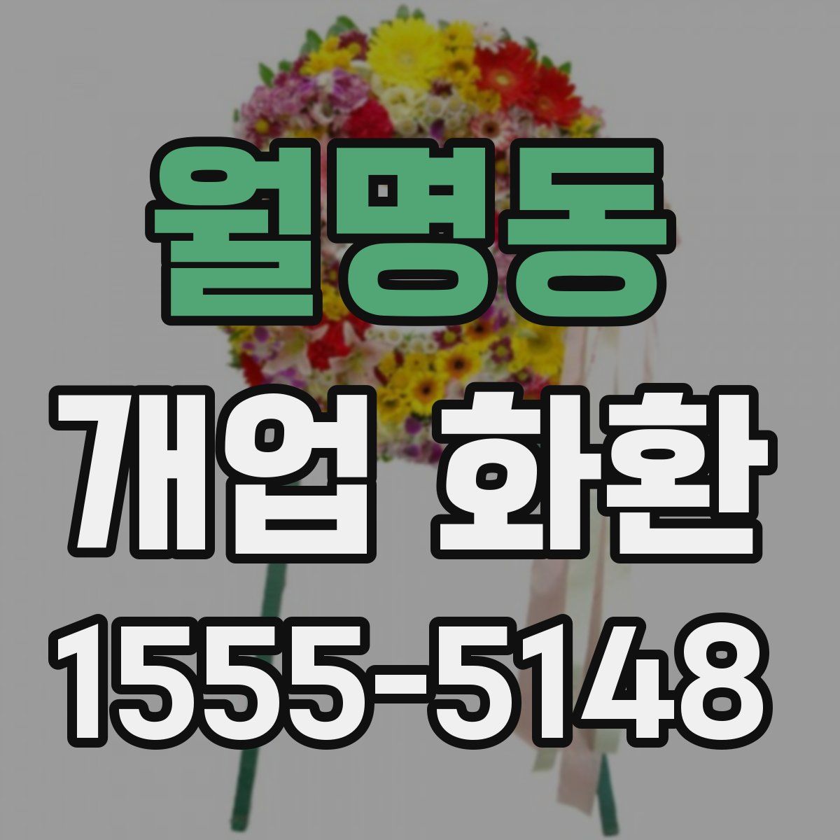 월명동 개업 화환