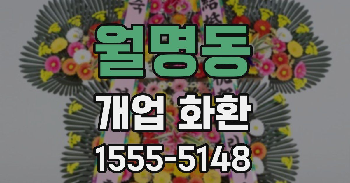 월명동 개업 화환
