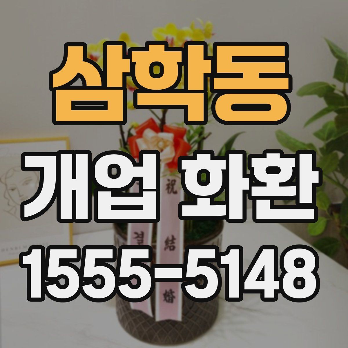 삼학동 개업 화환 받는 위치에 따라 달라지는 크기