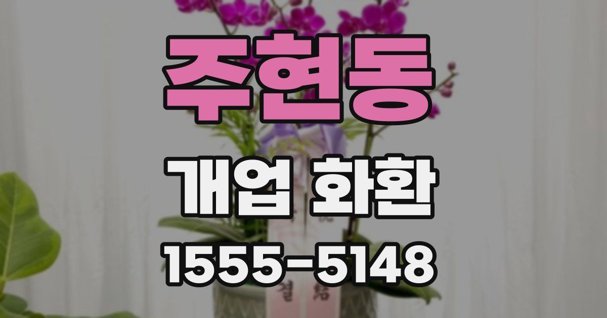주현동 개업 화환