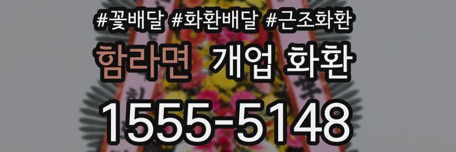 함라면 개업 화환