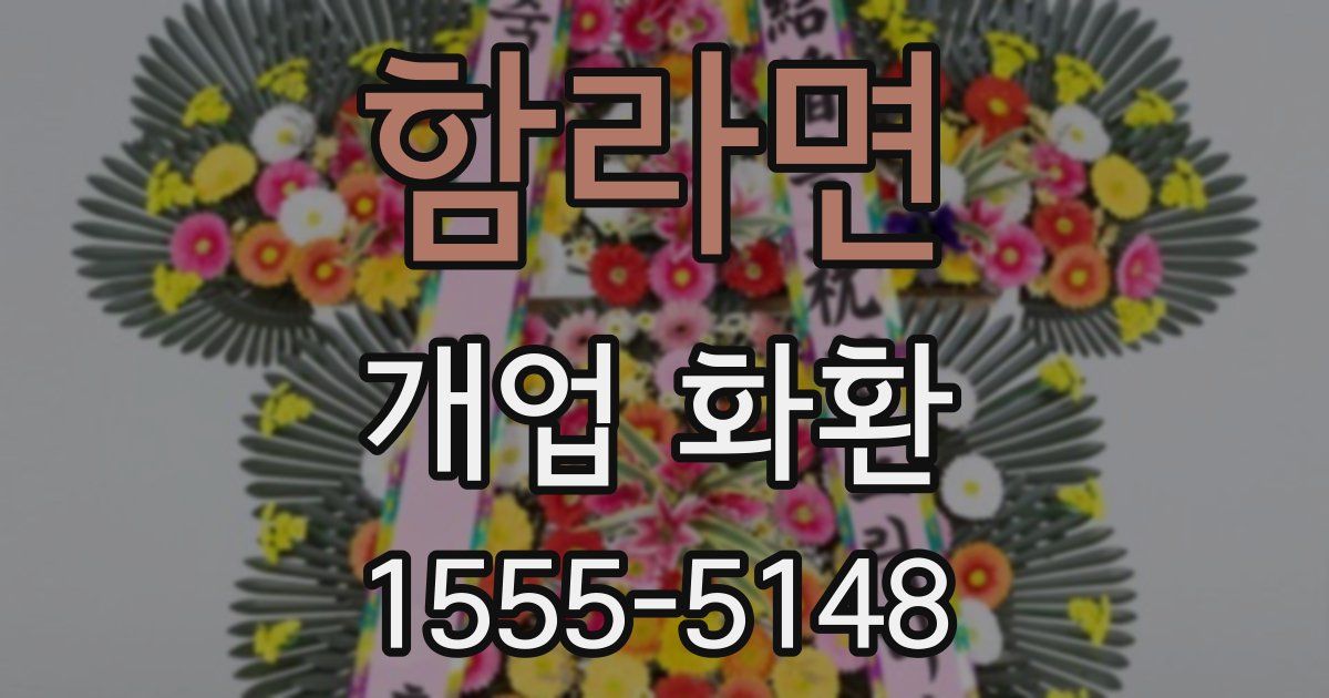 함라면 개업 화환