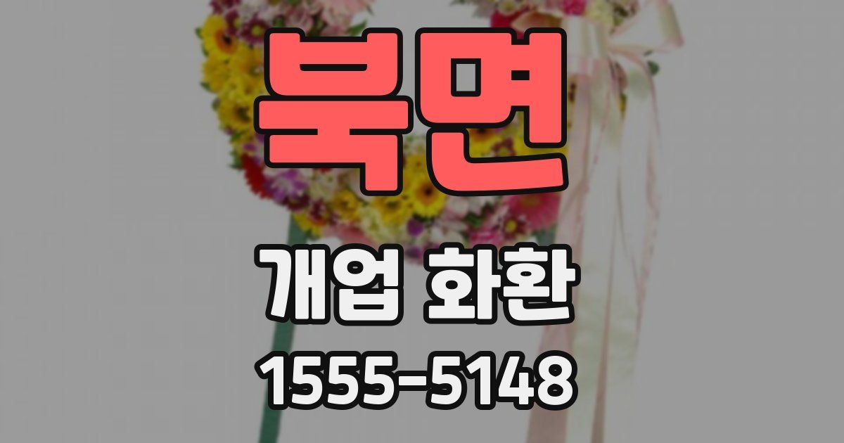 북면 개업 화환