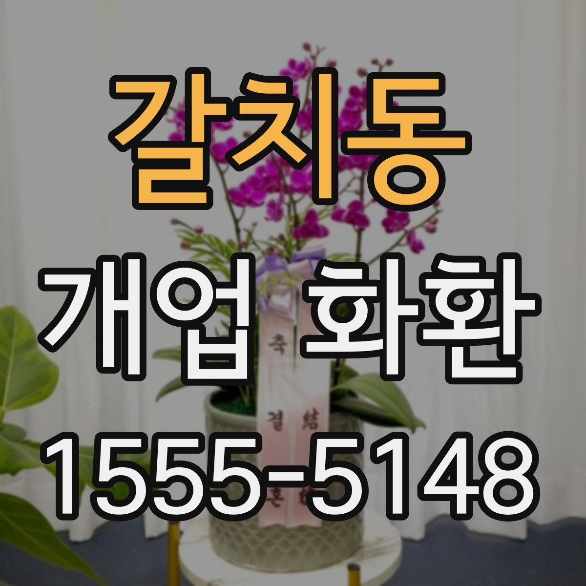 갈치동 개업 화환