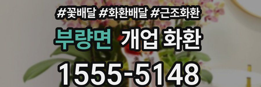 부량면 개업 화환