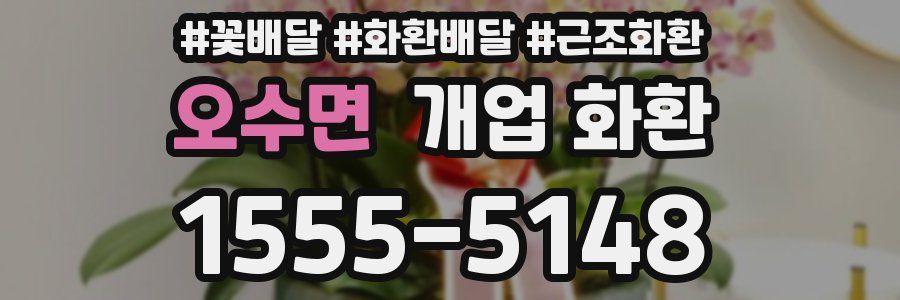오수면 개업 화환