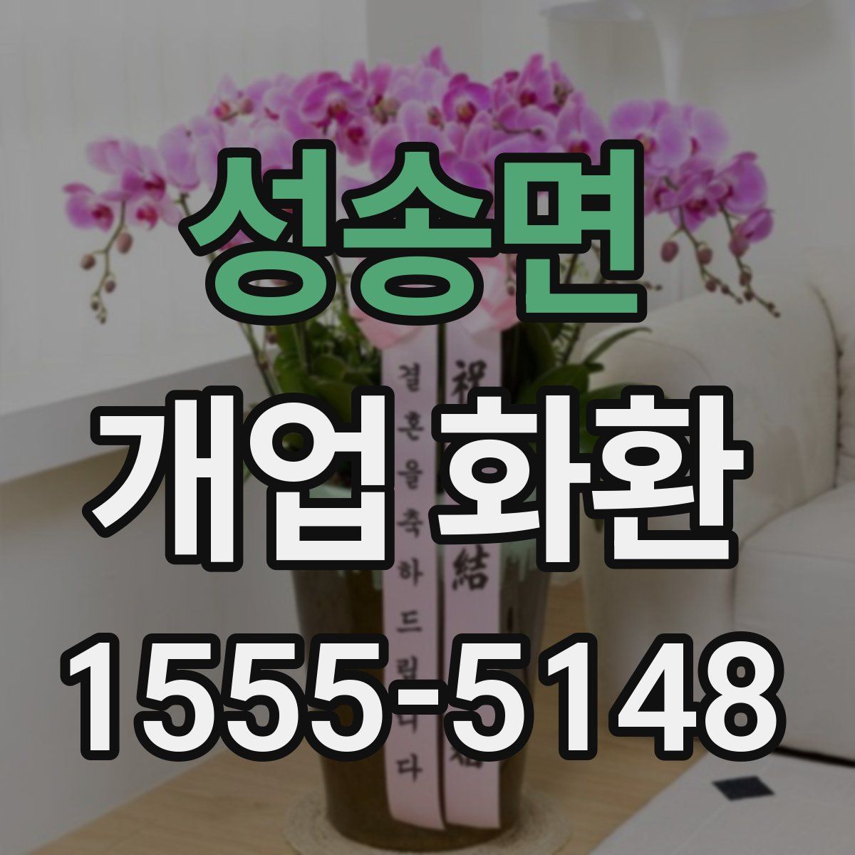 성송면 개업 화환