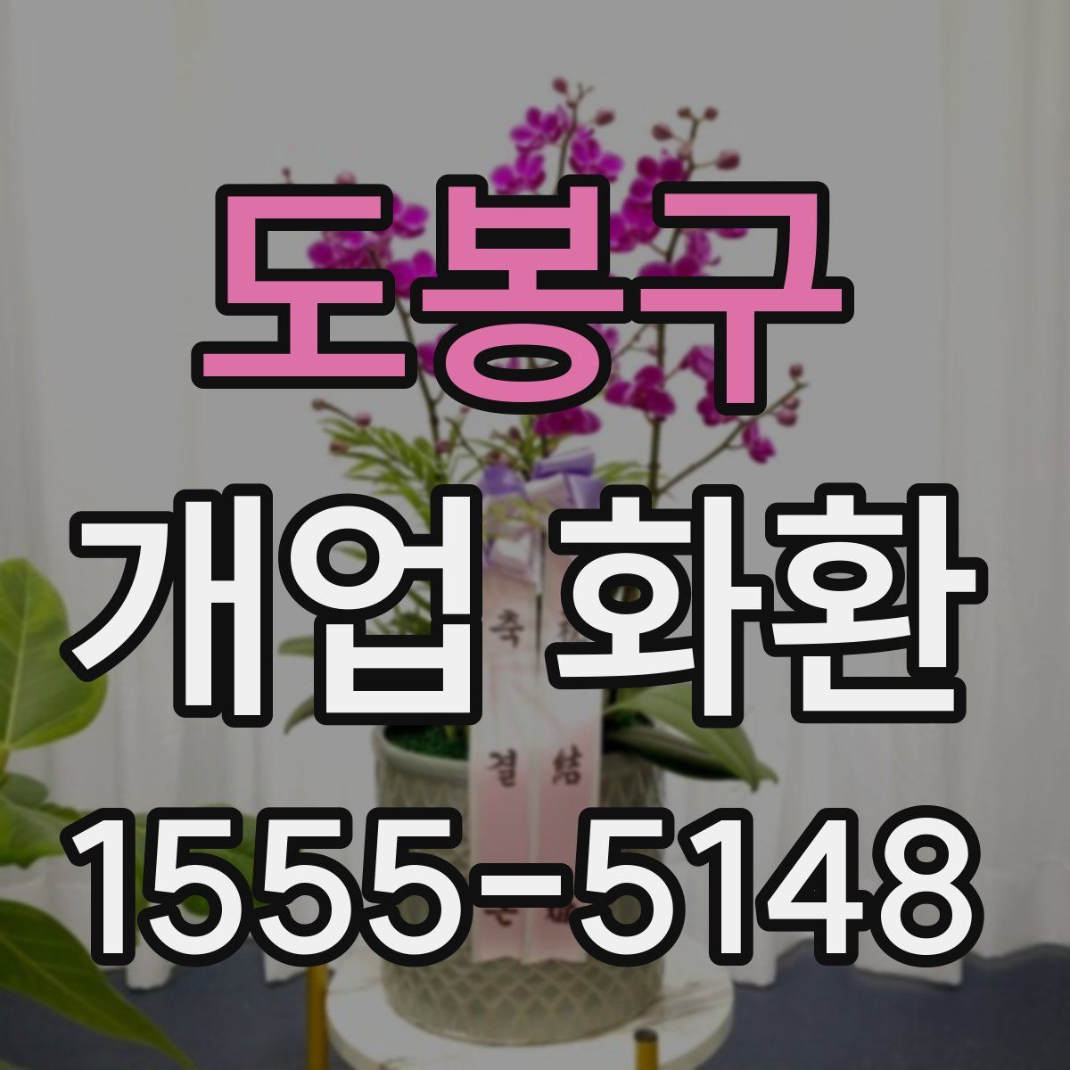 도봉구 개업 화환
