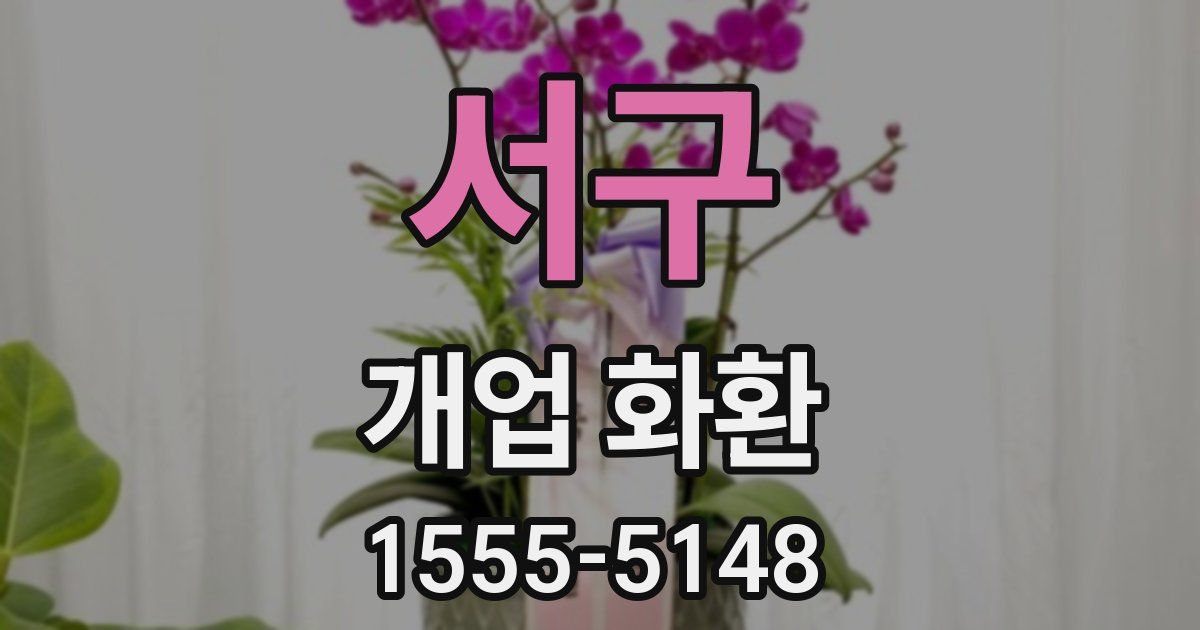 서구 개업 화환