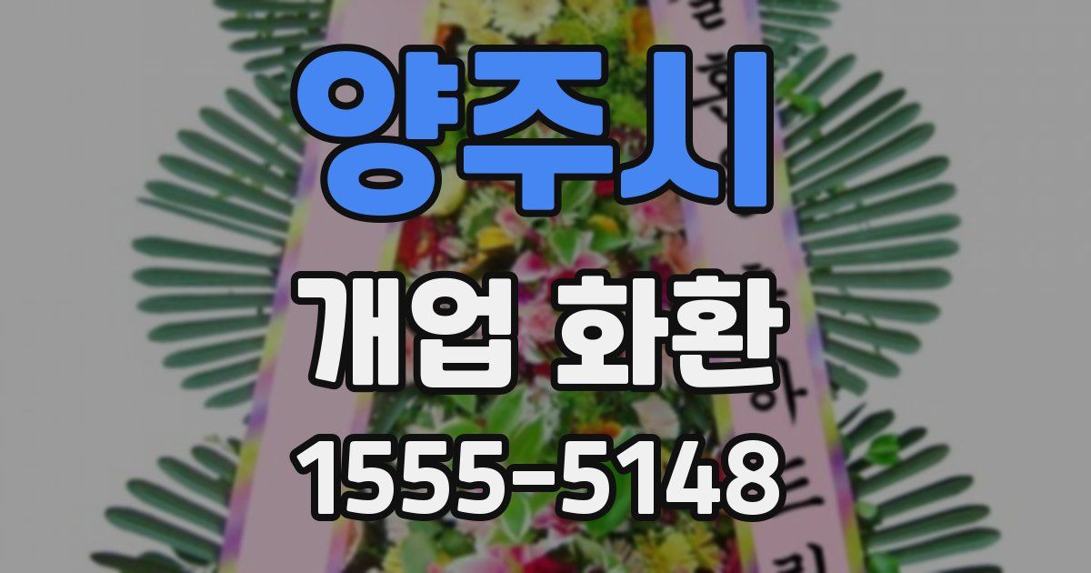 양주시 개업 화환