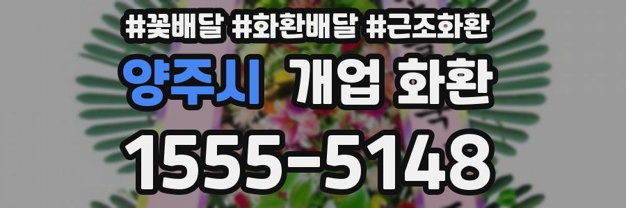 양주시 개업 화환