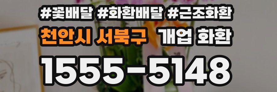 천안시 서북구 개업 화환
