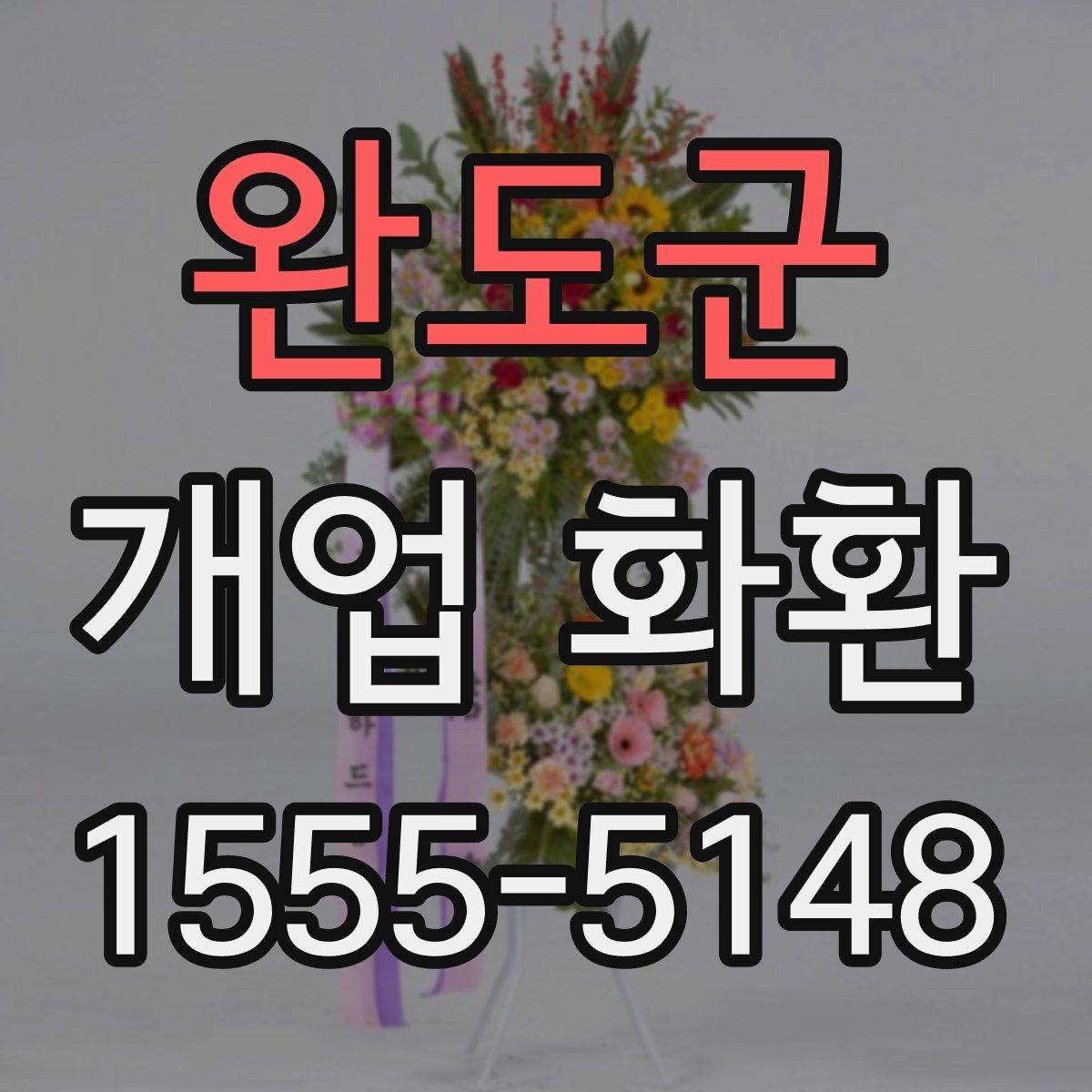 완도군 개업 화환