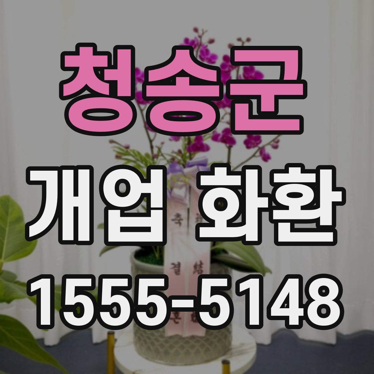 청송군 개업 화환