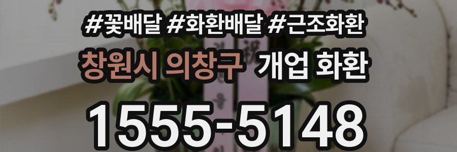창원시 의창구 개업 화환