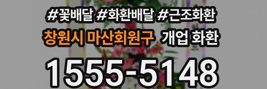 창원시 마산회원구 개업 화환